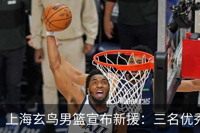 上海玄鸟男篮宣布新援：三名优秀年轻球员加盟
